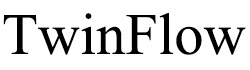 TwinFlow TwinFlow